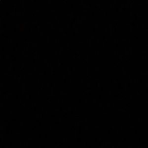 Meet your Posher, Oscar